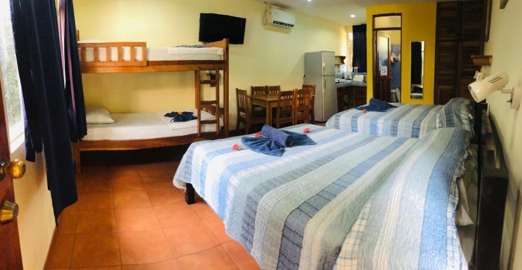 פוטררו Hotel Isolina Beach מראה חיצוני תמונה