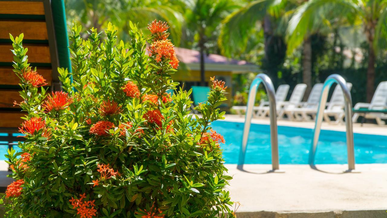 פוטררו Hotel Isolina Beach מראה חיצוני תמונה